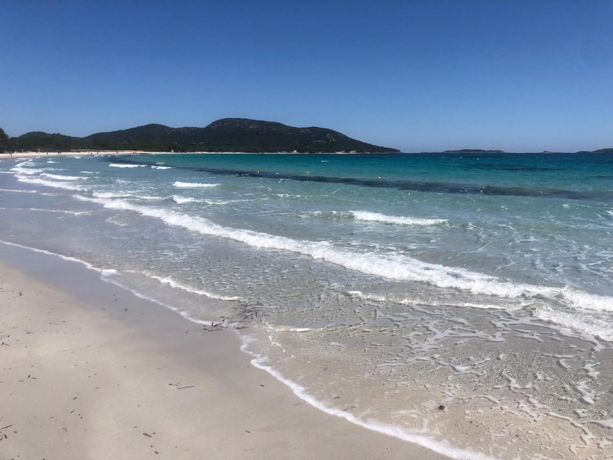 Superbe Appartement Sur Le Port, Jacuzzi, Piscine Porto-Vecchio  Bagian luar foto