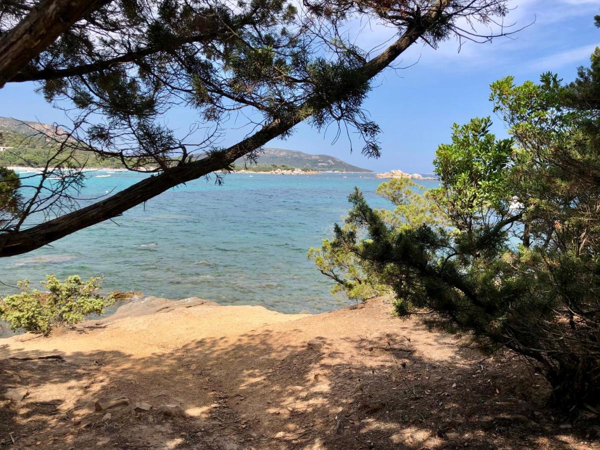 Superbe Appartement Sur Le Port, Jacuzzi, Piscine Porto-Vecchio  Bagian luar foto
